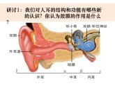 1.4《我们是怎样听到声音的》教学课件