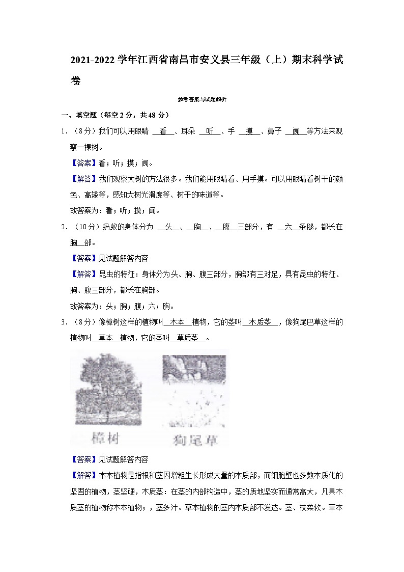 江西省南昌市安义县2021-2022学年三年级上学期期末科学试卷03