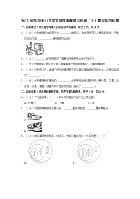 山西省大同市浑源县2022-2023学年六年级上学期期末科学试卷