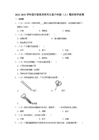 四川省宜宾市兴文县2022-2023学年六年级上学期期末科学试卷