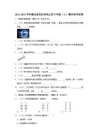 湖北省武汉市洪山区2022-2023学年六年级上学期期末科学试卷