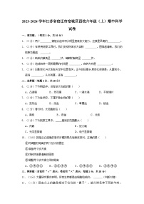 江苏省宿迁市宿城区四校2023-2024学年六年级上学期期中科学试卷