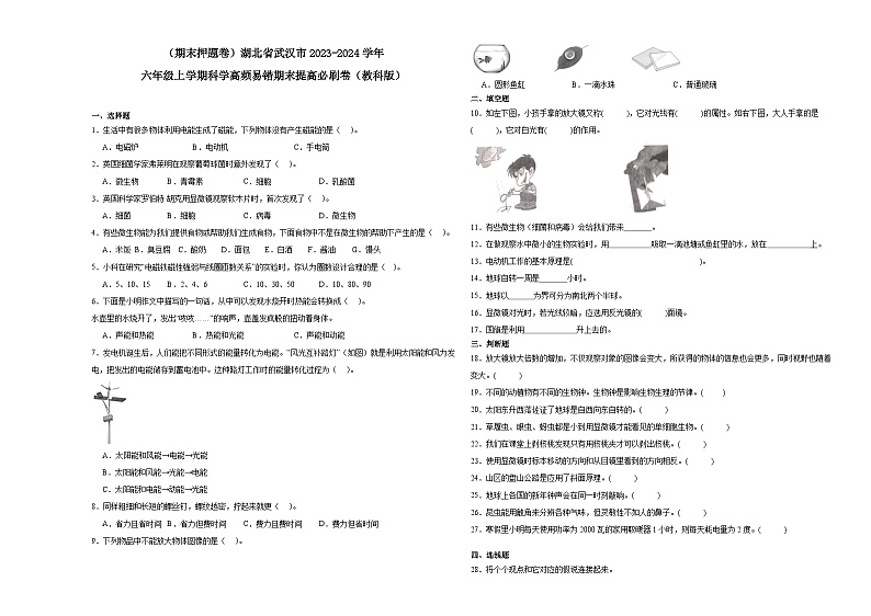 （期末押题卷）湖北省武汉市2023-2024学年六年级上学期科学高频易错期末提高必刷卷（教科版）01