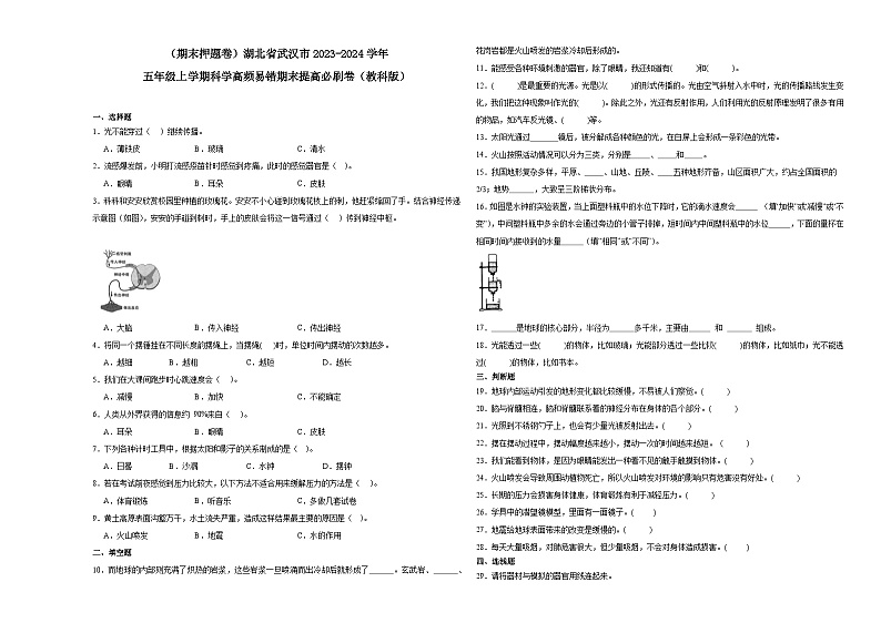（期末押题卷）湖北省武汉市2023-2024学年五年级上学期科学高频易错期末提高必刷卷（教科版）第1页