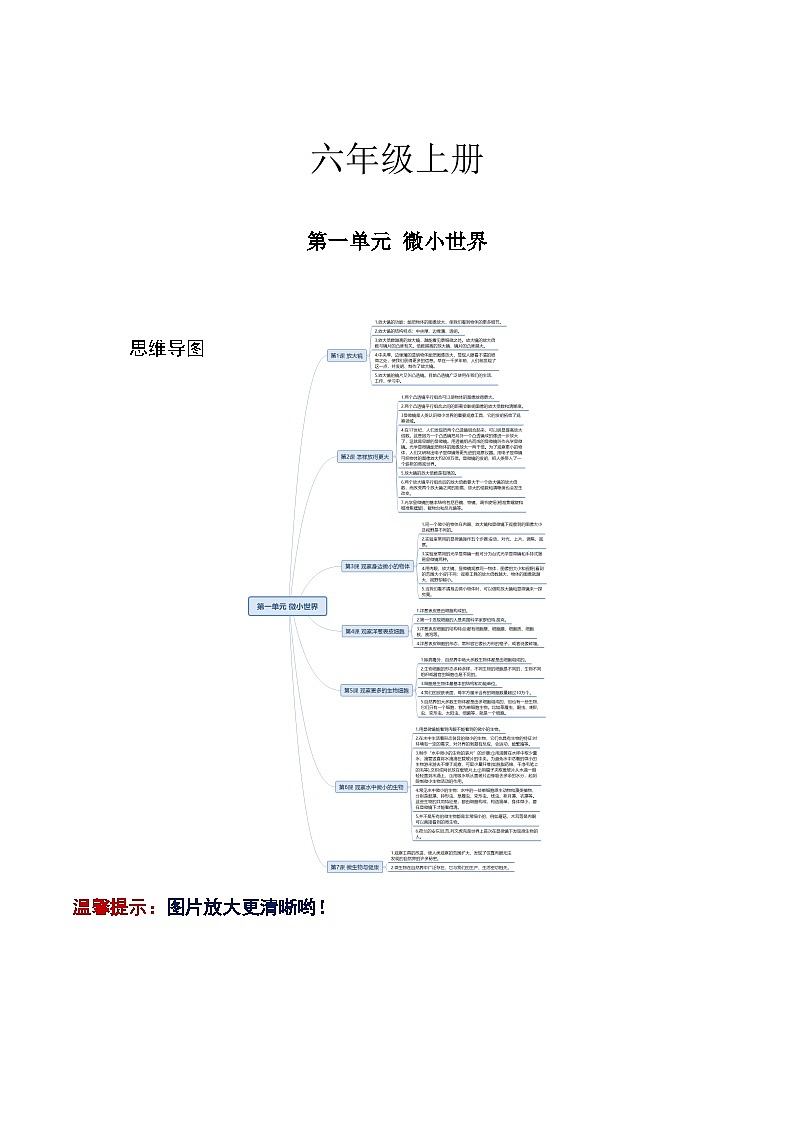 【寒假提升】教科版 小学科学 2023-2024学年 六年级 寒假专项训练 第一单元 微小世界-练习01