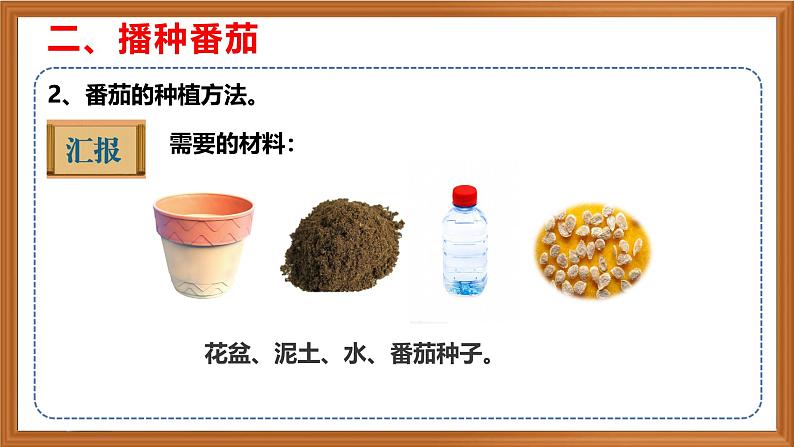 苏教版小学科学三年级下册第一单元《1.种子发芽了》课件+作业设计+视频第7页
