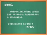 苏教版小学科学三年级下册第一单元《1.种子发芽了》课件+教案+视频+作业