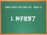 苏教版小学科学三年级下册第一单元《1.种子发芽了》课件+教案+视频+作业