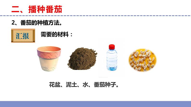 苏教版小学科学三年级下册第一单元《1.种子发芽了》课件+教案+视频+作业07