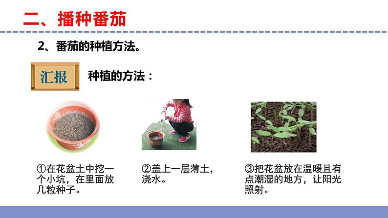 苏教版小学科学三年级下册第一单元《1.种子发芽了》课件+教案+视频+作业08