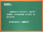 苏教版小学科学三年级下册第一单元《2.幼苗长大了》课件+教案+视频+作业