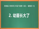 苏教版小学科学三年级下册第一单元《2.幼苗长大了》课件+教案+视频+作业