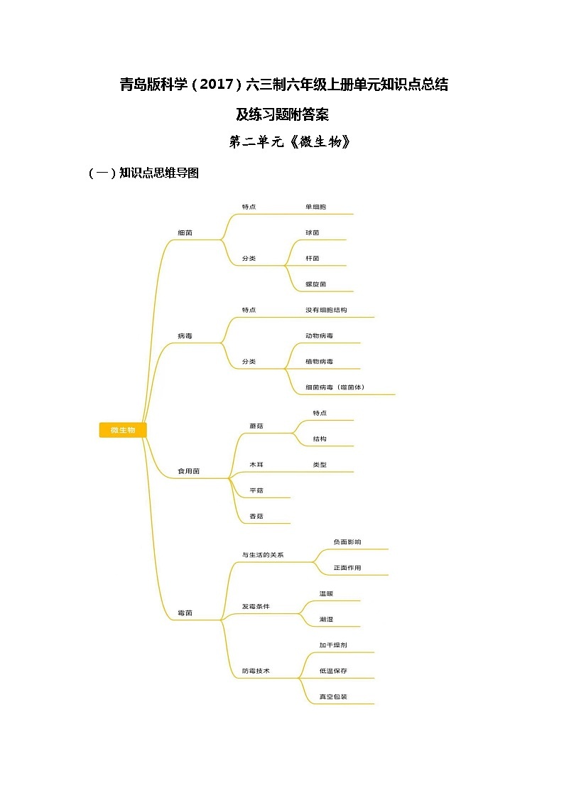 青岛版科学（2017）六三制六年级上册第2单元《 微生物》知识点总结及测试题01
