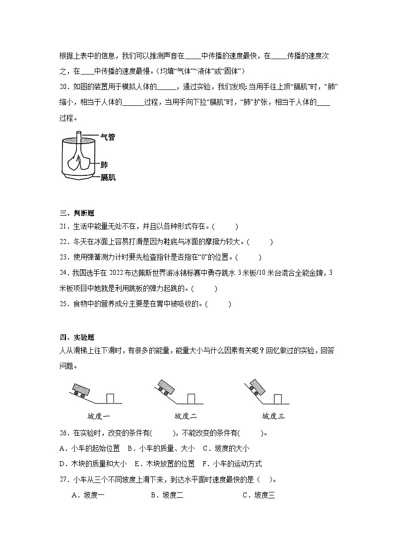 期末常考易错检测卷-科学四年级上册教科版03