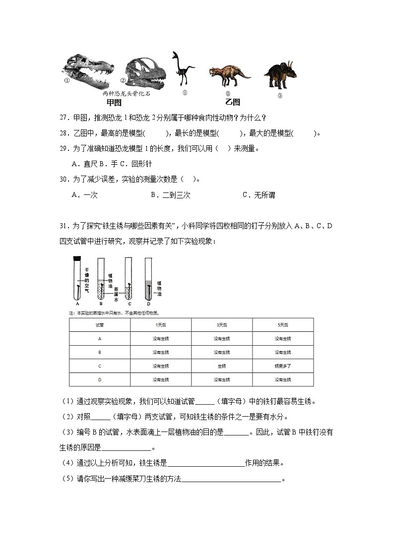 期末模拟测试卷-科学六年级上册苏教版第3页