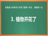 苏教版小学科学三年级下册第一单元《3.植物开花了》课件+教案+视频+作业