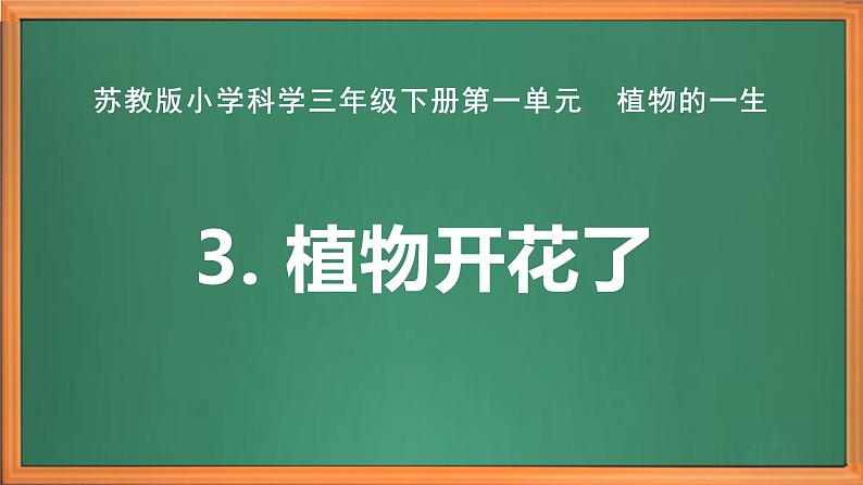 苏教版小学科学三年级下册第一单元《3.植物开花了》课件+教案+视频+作业02