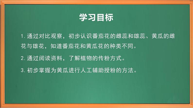 苏教版小学科学三年级下册第一单元《3.植物开花了》课件+教案+视频+作业03