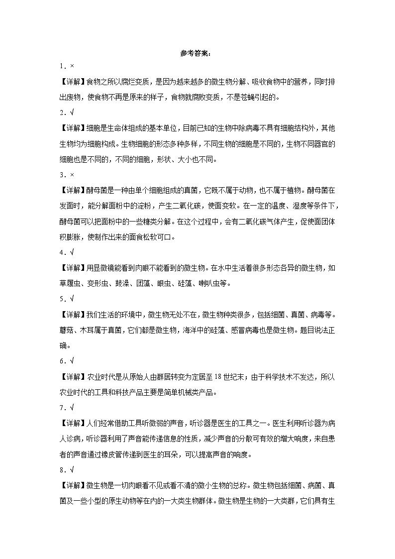 2023-2024学年六年级上册科学判断题专项测试卷（三）（教科版）（含解析）第3页