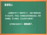 苏教版小学科学三年级下册第一单元《4、植物结果了》课件+教案+视频+作业