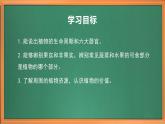 苏教版小学科学三年级下册第一单元《4、植物结果了》课件+教案+视频+作业