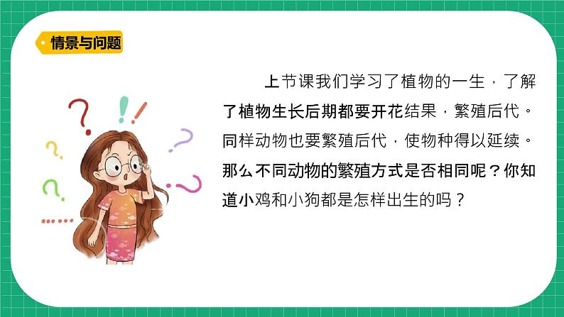 【核心素养】冀教版小学科学四年级下册    8.卵生与胎生     课件+教案(含教学反思)05