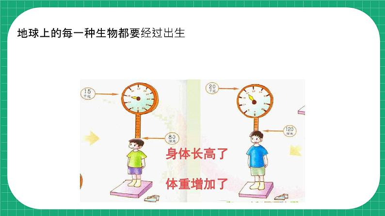 冀教版小学科学四年级下册   10.  我在长大      课件第4页