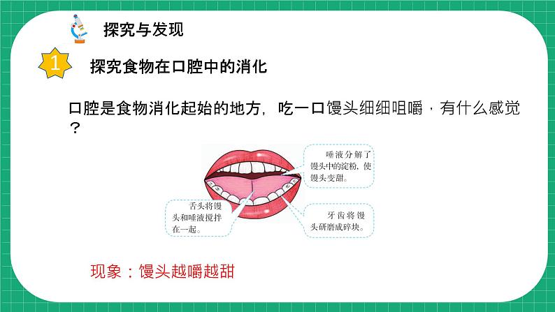 【核心素养】冀教版小学科学四年级下册    13.消化与吸收     课件+教案(含教学反思)07