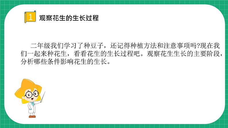 【核心素养】冀教版小学科学四年级下册    7.植物的一生     课件+教案(含教学反思)07