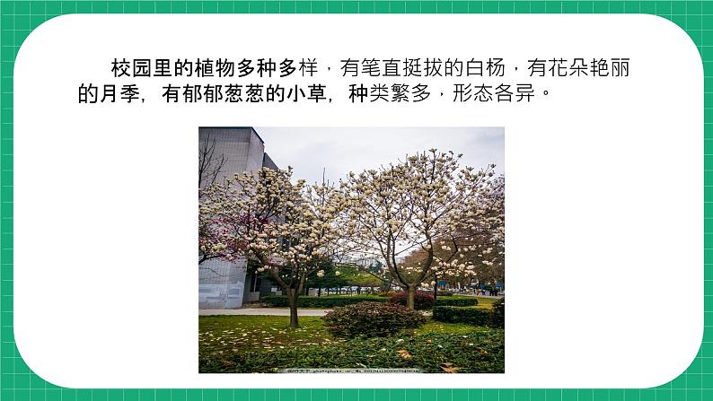 【核心素养】冀教版小学科学四年级下册    5.植物的器官     课件+教案(含教学反思)04