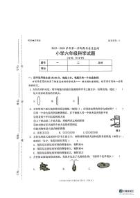 广东省深圳市南山区2023-2024学年六年级上学期期末考试科学试题