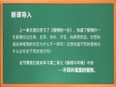 苏教版小学科学三年级下册第二单元《5.不同环境里的植物》课件+教案+视频+作业