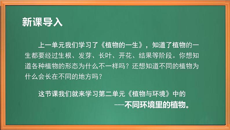 苏教版小学科学三年级下册第二单元《5.不同环境里的植物》课件+作业设计+视频第1页