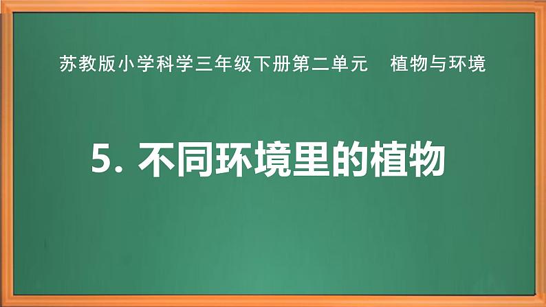 苏教版小学科学三年级下册第二单元《5.不同环境里的植物》课件+作业设计+视频第2页