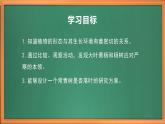 苏教版小学科学三年级下册第二单元《5.不同环境里的植物》课件+教案+视频+作业