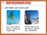 苏教版小学科学三年级下册第二单元《5.不同环境里的植物》课件+教案+视频+作业