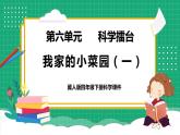 【核心素养】冀教版小学科学四年级下册    18.我家的小菜园（一）     课件+教案(含教学反思)