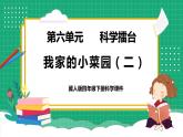 【核心素养】冀教版小学科学四年级下册    19.我家的小菜园（二）     课件+教案(含教学反思)