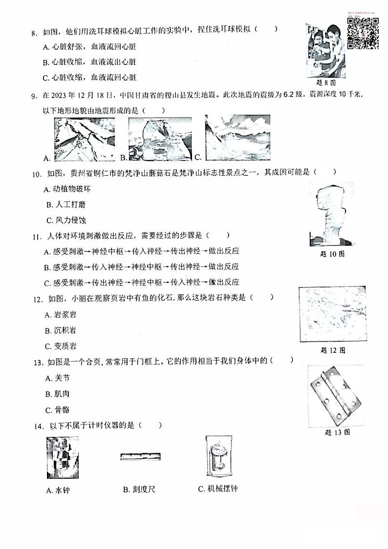 广东省深圳市罗湖区2023-2024学年五年级上学期期末考试科学试卷02