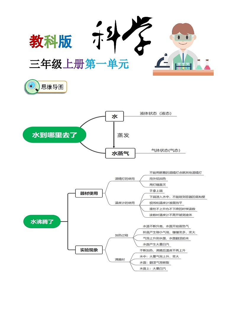 第1单元 水-2023-2024学年三年级科学上册期中专项复习（教科版）01