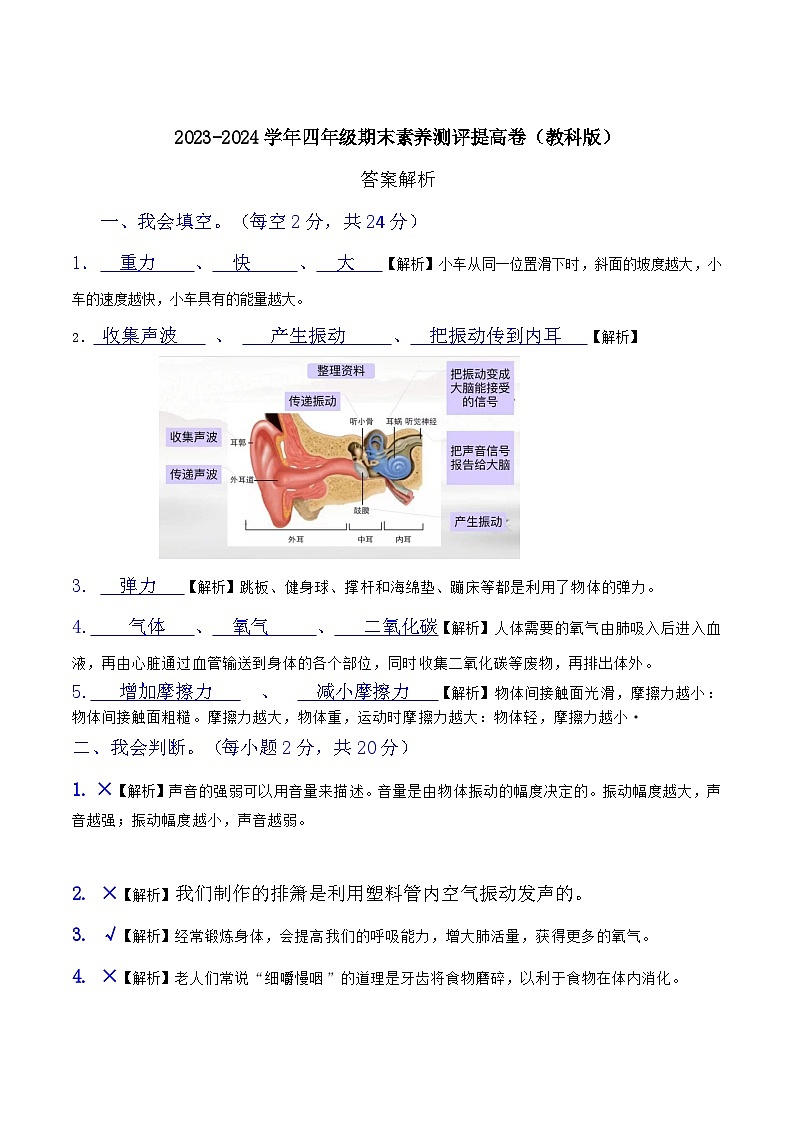 2023-2024学年四年级科学上册期末全真模拟提升卷（二）（教科版）01