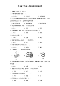 青岛版三年级上册科学期末模拟测试题.1