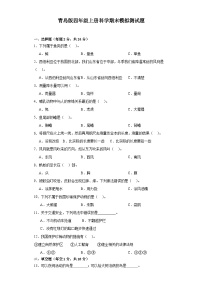 青岛版四年级上册科学期末模拟测试题