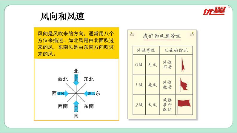 教科版三年级上册科学 3.5 第5课时 观测风 课件06