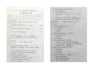 河北省承德县2023-2024学年六年级科学上学期期末考试试卷