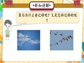 冀人版科学六年级上册 第16课角马的迁移（教学课件+同步教案+同步练习）