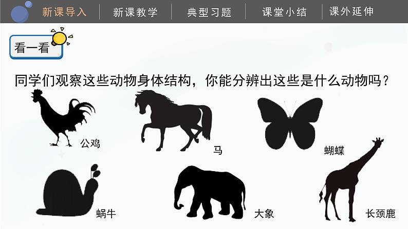 教科版科学二年级下册 2.1《观察我们的身体》课件04