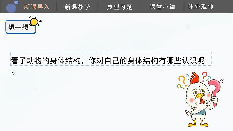 教科版科学二年级下册 2.1《观察我们的身体》课件05