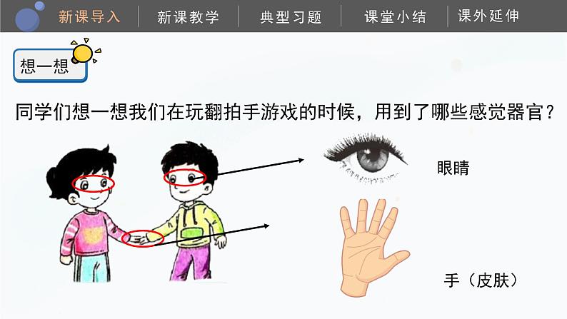 教科版科学二年级下册 2.4《测试反应快慢》课件05