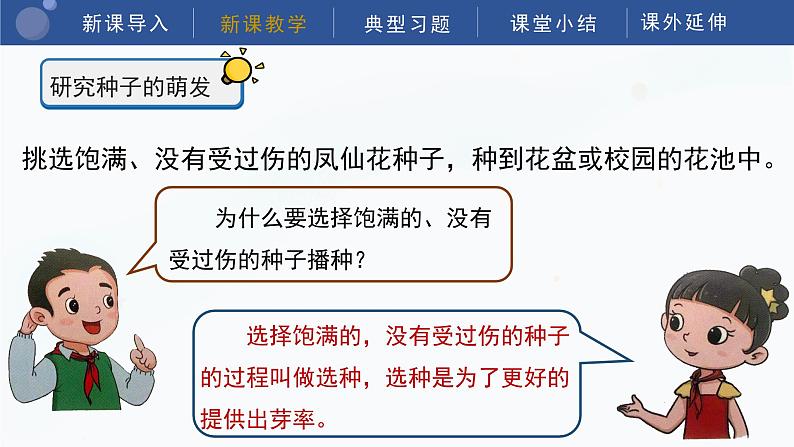 教科版科学四年级下册 1.2《种植凤仙花》课件08